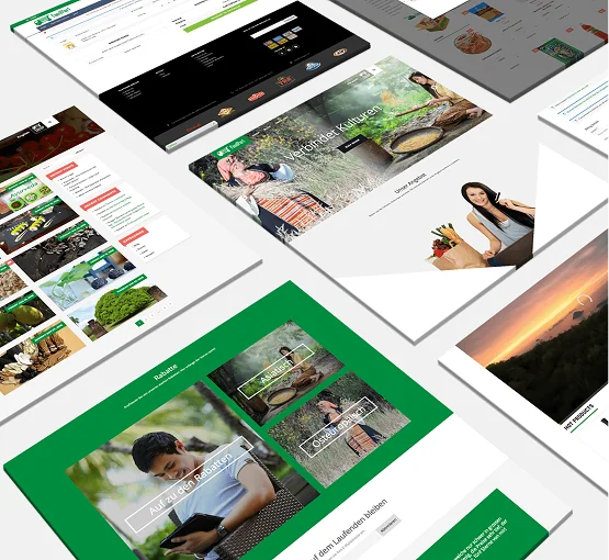 FoodTech Delivery & Logistics Platform Development