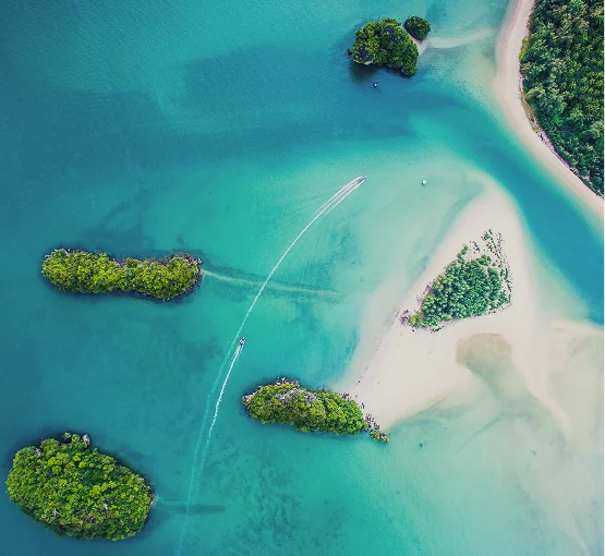 High-Performance Tour Booking Engine: Travel Tech