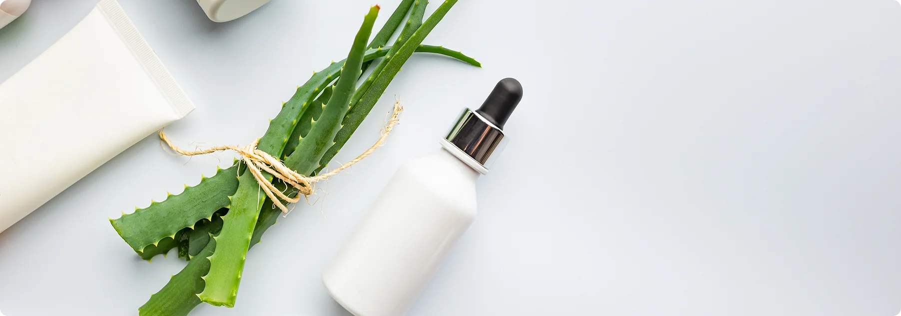Skincare products with aloe vera case image for URich