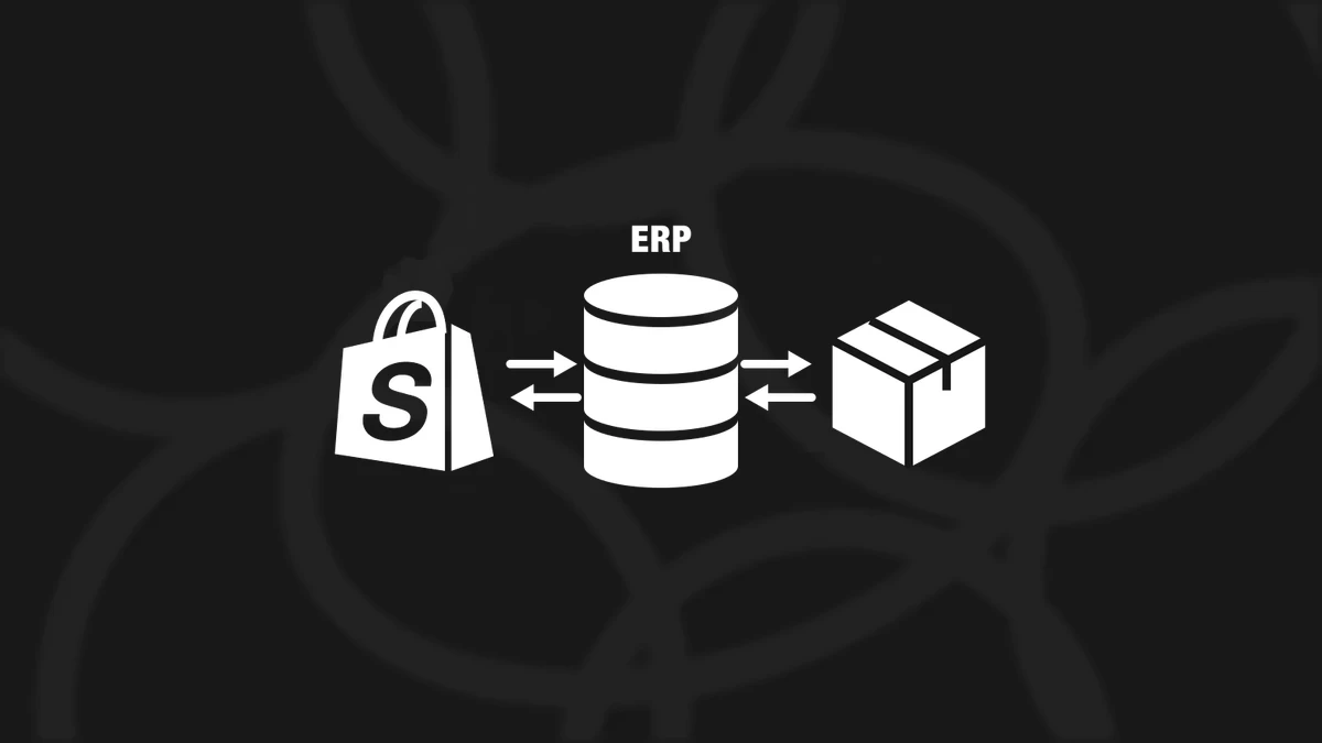 What Is an ERP System and Why Growing eCommerce Businesses Need One