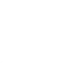 snail hunters logo