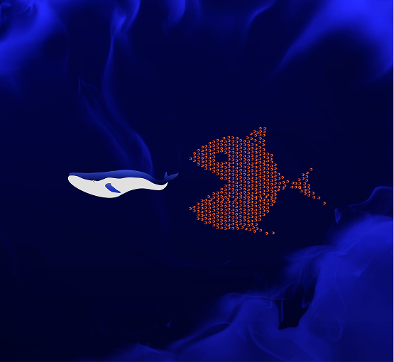 Whales & ShrimpsWeb3 & Blockchain Analytics Platform DevelopmentWhales & Shrimps
