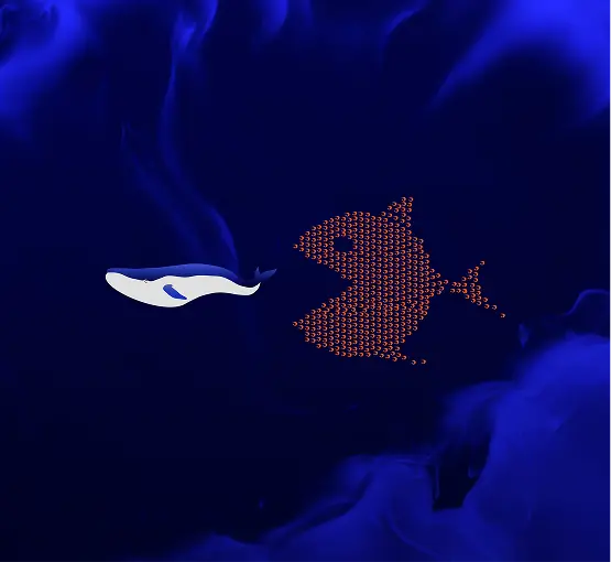 Whales & ShrimpsWeb3 & Blockchain Analytics Platform DevelopmentWhales & Shrimps